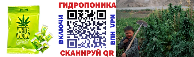 Cannafood конопля  купить закладку  Кумертау 