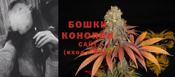 крисы Магадан