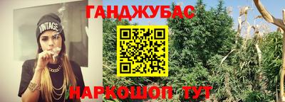 прущие грибы Донской
