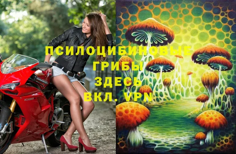 Псилоцибиновые грибы MAGIC MUSHROOMS  Кумертау 