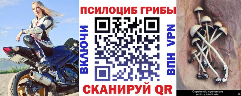 Псилоцибиновые грибы мухоморы  даркнет состав  Кумертау 