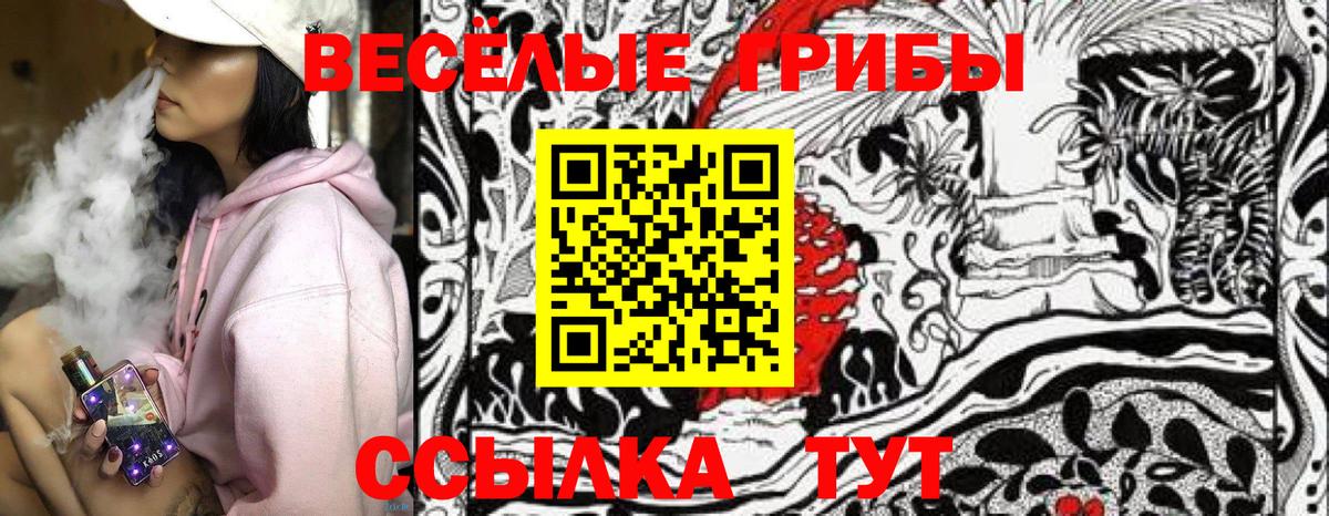 Псилоцибиновые грибы Psilocybe Кумертау